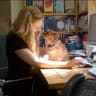 Susan Armstrong